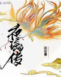 夜璃传