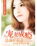 宠妻成瘾,总裁好霸道