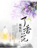 摇曳的丁香花