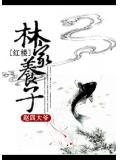 红楼林家养子