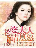 高门甜宠:老婆大人请息怒