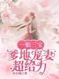 一胎三宝,爹地宠妻超给力