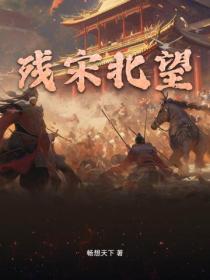 残宋北望