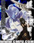 银之机甲
