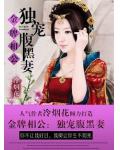 金牌相公:独宠腹黑妻