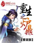 重生之炉鼎