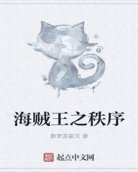 海贼王之秩序