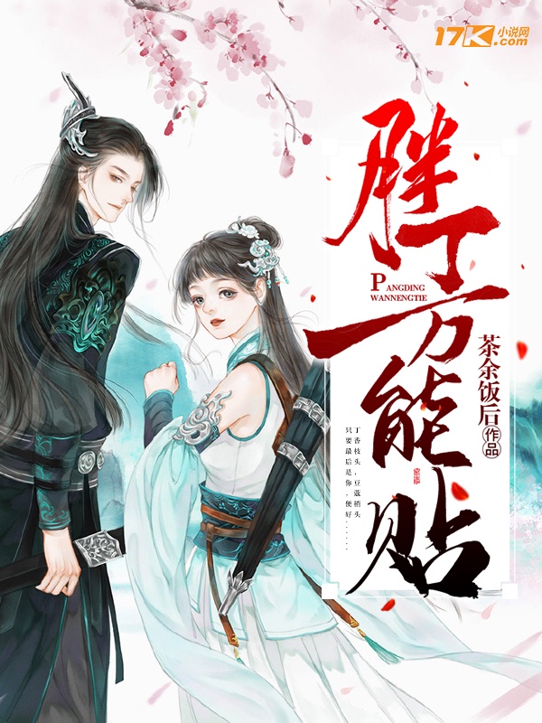 胖丁万能贴