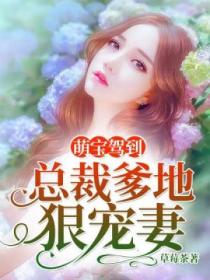极品男人小说免费阅读