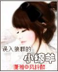 明郑之我是郑克臧