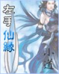 娴医小说