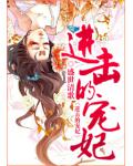 进击的宠妃