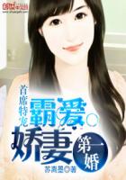 首席特宠:霸爱娇妻第一婚