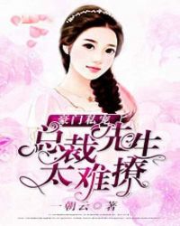 豪门私宠:总裁先生太难撩