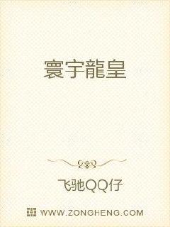 环宇龙皇
