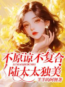 不原谅,不复合,陆太太独美