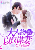 豪门萌宝:大人物以权谋妻