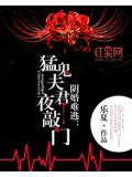 明末皇太子短剧在线观看