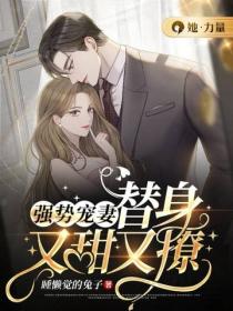 强势宠妻,替身又甜又撩
