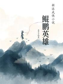 鲲鹏英雄