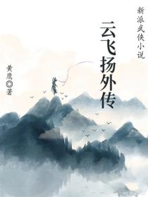 云飞扬外传