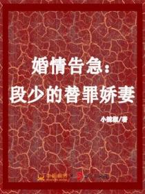 大赵风云录历史小说