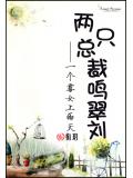 两只总裁鸣翠刘