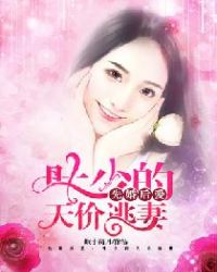 先婚后爱:叶少的天价逃妻