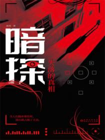 暗探:失落的真相