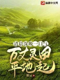 清晨深吸一口气,万丈灵田平地起