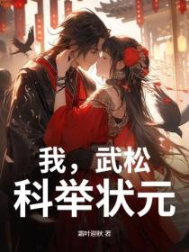 我,武松,科举状元!