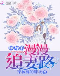 顾导的漫漫追妻路