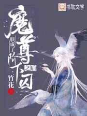 朕成了魔尊阶下囚之后