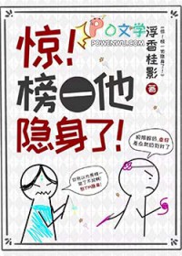 惊!榜一他隐身了[网游]