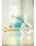 亿万首席,前妻不复婚