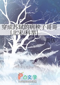 [历史同人]穿成苏轼的病秧子哥哥