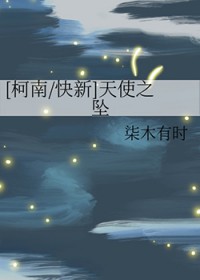 [柯南同人]天使之坠