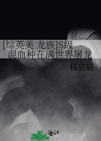 [综英美+龙族同人]S级混血种在满世界屠龙