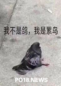 好友清单by顽山行免费阅读