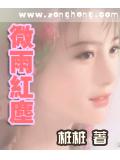 微雨红尘 小说