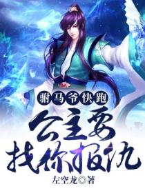 驸马爷八公主又去探案了