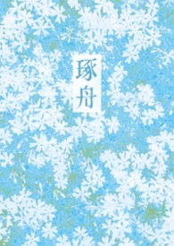 灿烂的青春是什么意思