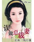 误做总裁妻