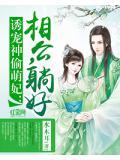 诱宠神偷萌妃:相公,躺好