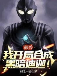 特利迦:开局黑暗迪迦 无限加点