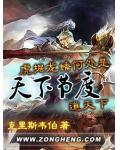 天下节度