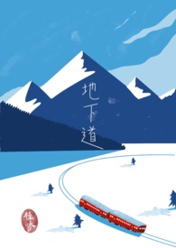 一区两地一园一通道&rdquo;指的是